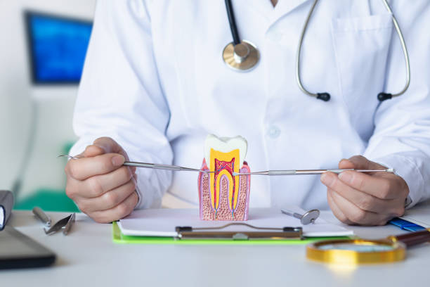 Best Emergency Root Canal Treatment in Hobart, WI